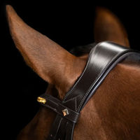 Produktbild von Imperial Riding Hannoversche Trense mit einfacher kombinierter Pferdezaum