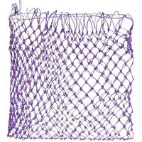 Produktbild von Imperial Riding Heunetz IRH Zone aus Nylon in Lila 80x80 cm mit 5x5 cm Lochgröße