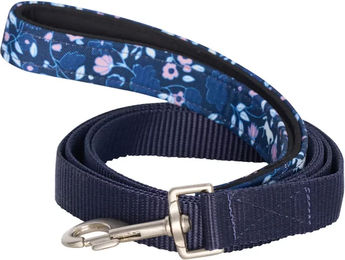 Produktbild von Imperial Riding Hundeleine Ambient Blau mit Gurtband