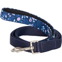 Produktbild von Imperial Riding Hundeleine Ambient Blau mit Gurtband