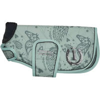 Produktbild von Imperial Riding Hundemantel Ambient Winter XS Grün Türkis