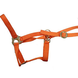 Produktbild von Imperial Riding IR-Nylon Halfter mit Gleitschnalle in Orange