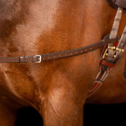 Imperial Riding IRH Core Leder-Ausbinder mit doppeltem Elastik für Ponys in Braun – Bild 1 von 4