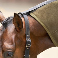 Produktbild von Imperial Riding IRH Fundamental Fleecedecke mit Halsteil für Pferde Olivgrün 145