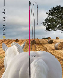 Produktbild von Imperial Riding IRHCarbon Longierpeitsche aus Carbon in Pink