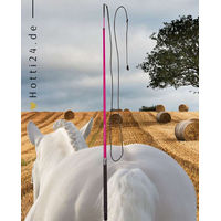 Produktbild von Imperial Riding IRHCarbon Longierpeitsche aus Carbon in Pink