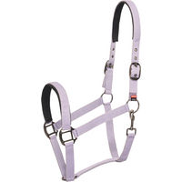 Produktbild von Imperial Riding IRHClassic Sport Halfter aus Nylon in Gold und Lila