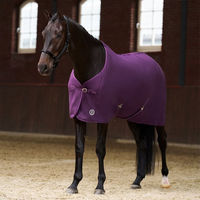 Produktbild von Imperial Riding IRHFundamental Fleece Decke für Pferde