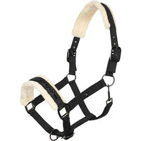 Produktbild von Imperial Riding Jewel Halfter für Pferde