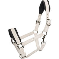 Produktbild von Imperial Riding Jewel Nylon Halfter für Pferde