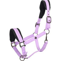 Produktbild von Imperial Riding Jewel Nylon Halfter für Pferde