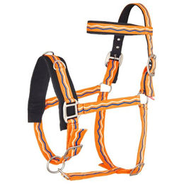 Produktbild von Imperial Riding Kappzaum Orange
