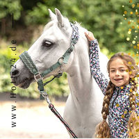 Produktbild von Imperial Riding Kinder Trainingsshirt IRHSunny Lovefetti Bunt aus Polyester