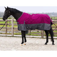 Produktbild von Imperial Riding Limited Outdoor-Decke für Pferde