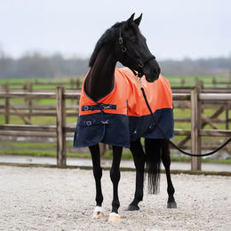 Imperial Riding Limited Outdoor-Decke für Pferde – Bild 1 von 1