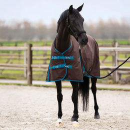 Imperial Riding Limited Outdoor-Decke für Pferde mit Halsabdeckung – Bild 1 von 1