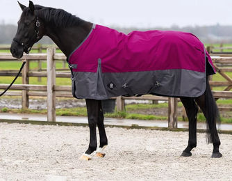 Imperial Riding Limited Outdoor-Pferdedecke mit Halsabdeckung 200g – Bild 1 von 1