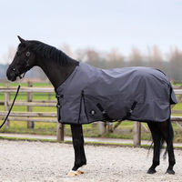 Produktbild von Imperial Riding Limited Summer Outdoor-Decke für Pferde mit Halsabdeckung