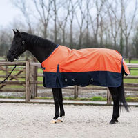 Produktbild von Imperial Riding Limited Summer Outdoor-Decke für Pferde mit Halsabdeckung