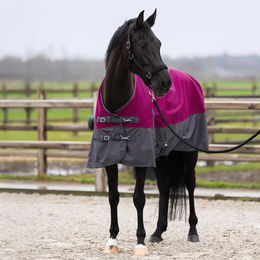 Imperial Riding Limited Summer Outdoor-Decke für Pferde mit Halsabdeckung – Bild 1 von 1