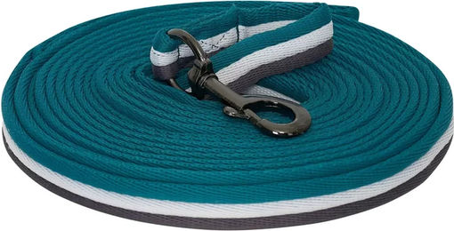 Imperial Riding Longe Reiten Karabinerhaken Antipanik Covalliero Classy – Bild 1 von 1