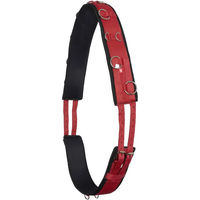 Produktbild von Imperial Riding Longiergurt IRH Deluxe aus Polyester mit Neoprenfütterung und Metallringen in Rot für Warmblut Pferde