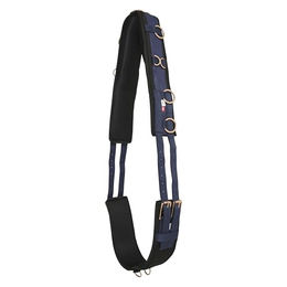 Imperial Riding Longiergurt IRH Deluxe Extra für Pferde in Navy-Blau und Rosegold aus Polyester – Bild 1 von 4