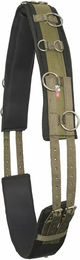 Imperial Riding Longiergurt IRH Deluxe Extra für Ponys aus Polyester in Grün – Bild 1 von 4