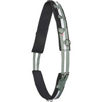 Produktbild von Imperial Riding Longiergurt IRH Deluxe Extra für Ponys aus Polyester in Grün-Weiß-Schwarz
