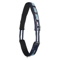 Produktbild von Imperial Riding Longiergurt IRH Deluxe für Warmblut aus Polyester mit Neoprenfütterung in Blau-Navy-Silber