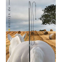 Produktbild von Imperial Riding Longierpeitsche IRHCarbon Black aus Carbon und Polyester