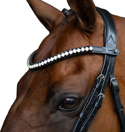 Imperial Riding Maxima Stirnband aus Leder mit Glas-Strasssteinen und Stiftverschluss Graphit Cob – Bild 1 von 1