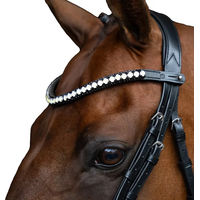 Produktbild von Imperial Riding Maxima Stirnband aus Leder mit Glas-Strasssteinen und Stiftverschluss Graphit Cob
