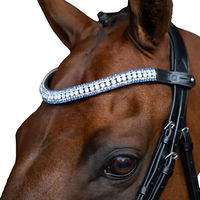 Produktbild von Imperial Riding Maxima Stirnband aus Leder mit Glas-Strasssteinen und Stiftverschluss Hellblau-Blau Cob