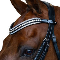 Produktbild von Imperial Riding Maxima Stirnband aus Leder mit Glas-Strasssteinen und Stiftverschluss Kristall Cob