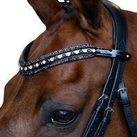 Produktbild von Imperial Riding Maxima Stirnband aus Leder mit Glas-Strasssteinen und Stiftverschluss Weiß-Schwarz Pony
