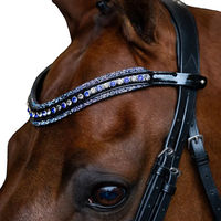 Produktbild von Imperial Riding Maxima Stirnband für Pferde