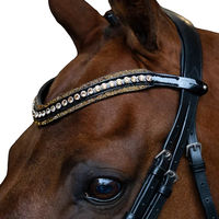 Produktbild von Imperial Riding Maxima Stirnband für Pferde