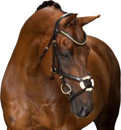 Imperial Riding Mexikanisches Zaumzeug aus Leder mit breitem Nasenband und gepolstertem Genickstück Dunkelbraun Full – Bild 1 von 1