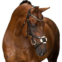 Produktbild von Imperial Riding Mexikanisches Zaumzeug aus Leder mit breitem Nasenband und gepolstertem Genickstück Dunkelbraun Full