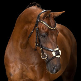 Imperial Riding Mexikanisches Zaumzeug aus Leder mit breitem Nasenband und gepolstertem Genickstück Dunkelbraun Pony – Bild 1 von 1