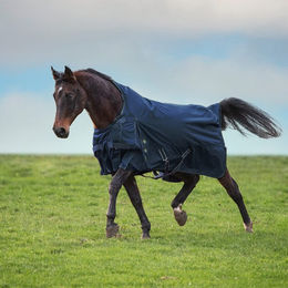 Imperial Riding MOVEIT Decke aus Polyester in Navy Blau – Bild 1 von 8