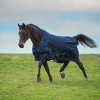 Produktbild von Imperial Riding MOVEIT Decke aus Polyester in Navy Blau