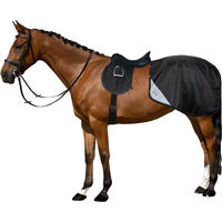 Produktbild von Imperial Riding Multiride Winter-Ausreitdecke für Pferde wasserdicht mit reflektierenden Details und Schweifband Schwarz Größe L