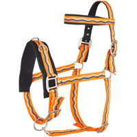 Produktbild von Imperial Riding Nylon Cavecake Halfter für Ponys in Orange