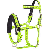 Produktbild von Imperial Riding Nylon Cavecake Trense für Pferde in Grün