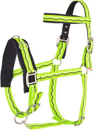 Produktbild von Imperial Riding Nylon Cavecake Trense für Pferde in Grün Größe M