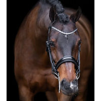 Produktbild von Imperial Riding Olympia Kandarenzaum aus Büffelleder mit Strass und Kalbslederpolsterung Schwarz-Silber Cob