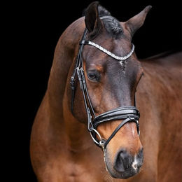 Imperial Riding Olympia Trense aus Büffelleder mit Strass und Kalbslederpolsterung für Ponys in Schwarz-Silber – Bild 1 von 4