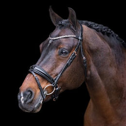 Imperial Riding Olympia Trense aus Büffelleder mit Strass und Kalbslederpolsterung Schwarz-Rose-Gold Cob – Bild 1 von 2